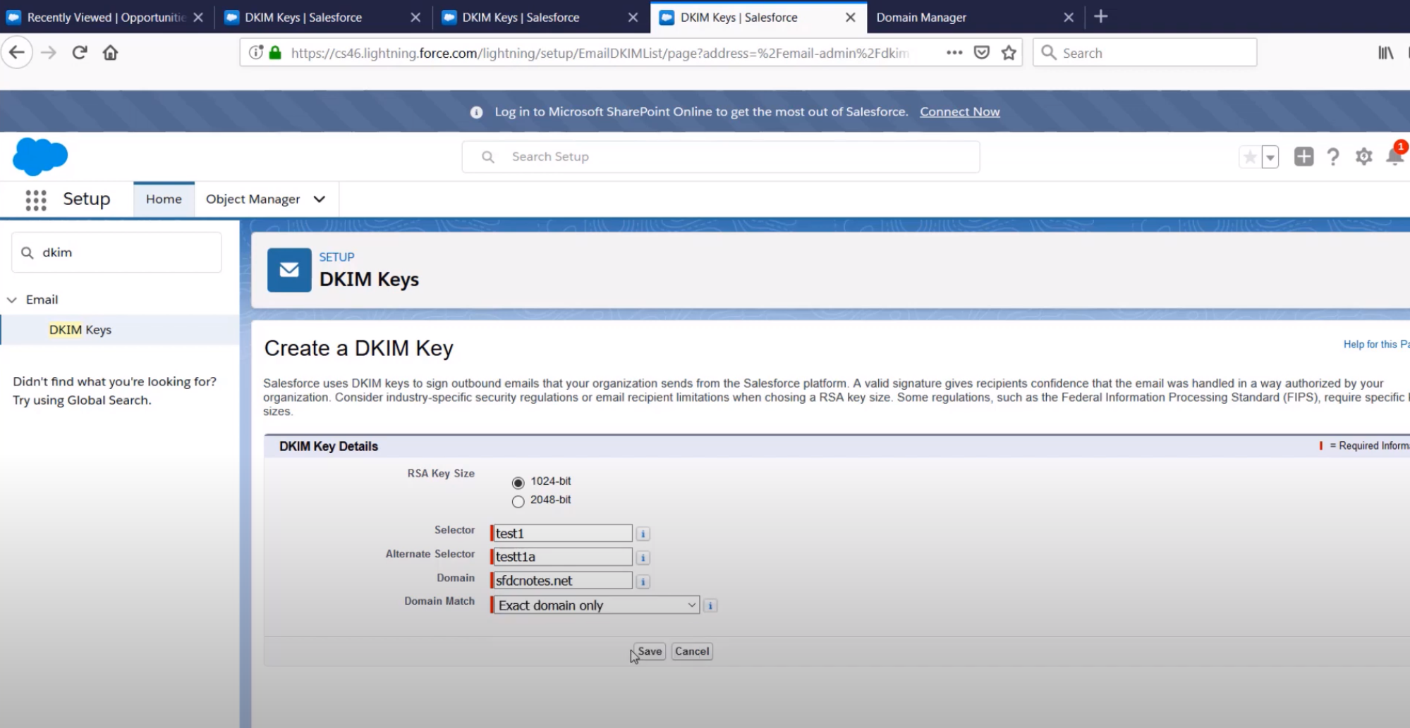 Salesforce Dkim Screenshot 2
